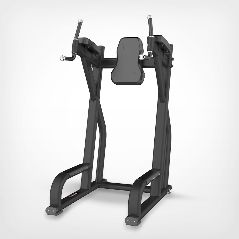 Repforce Leg Raise / Dip machine